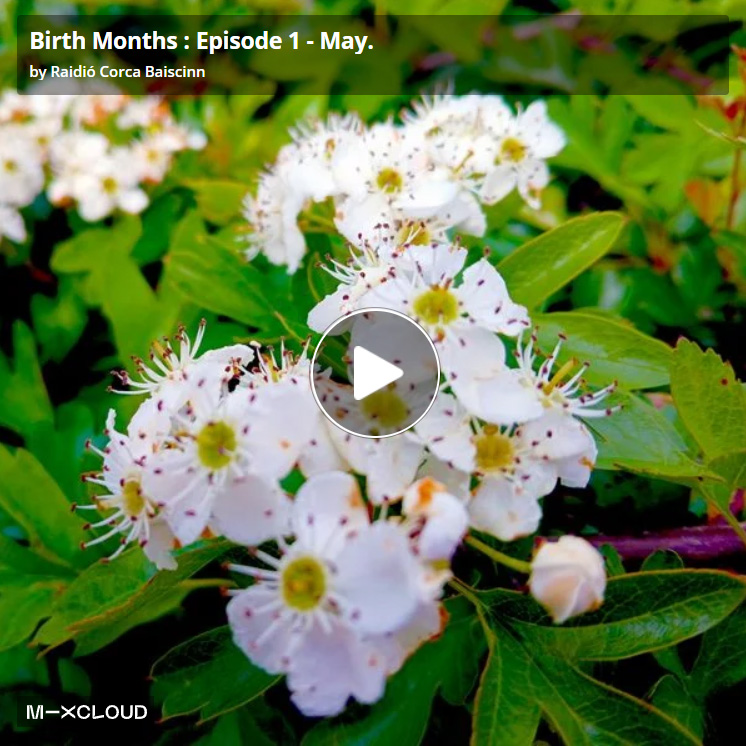 Tune In For The Tunes