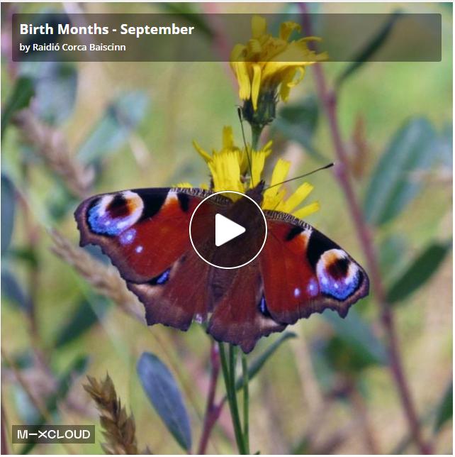 Tune In For The Tunes